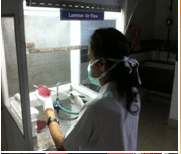 its dental college research fields Microbiology